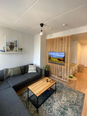 Tikkurila Apartment Neilikka - near airport, Vantaa